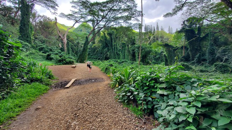 Trail length and difficulty