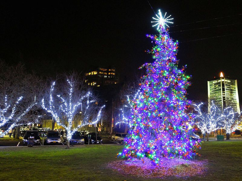 Christmas Tree Lighting Ceremony