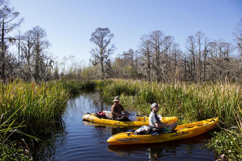 LaPlace as a Launch Point