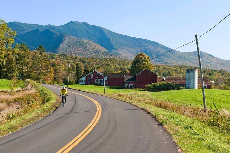 Billboards Are Illegal