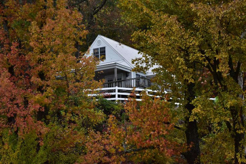 Forest Trails Leading Into Peaceful Natural Areas