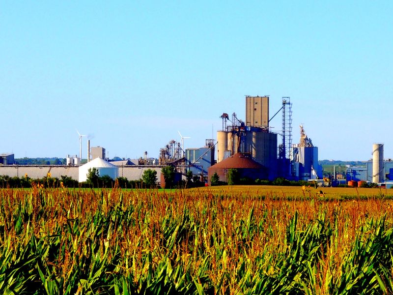 Barter and Trade Regulations