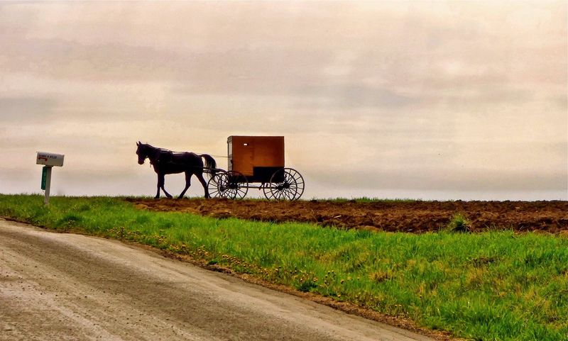 New Wilmington Area Backroads (Western PA)