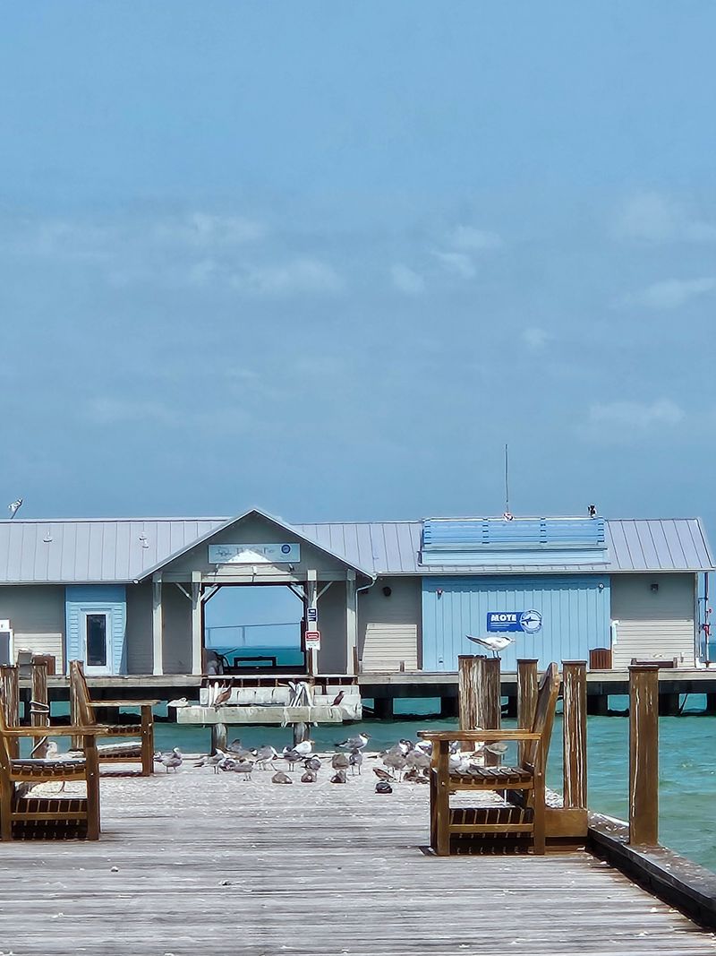 Anna Maria, Anna Maria Island