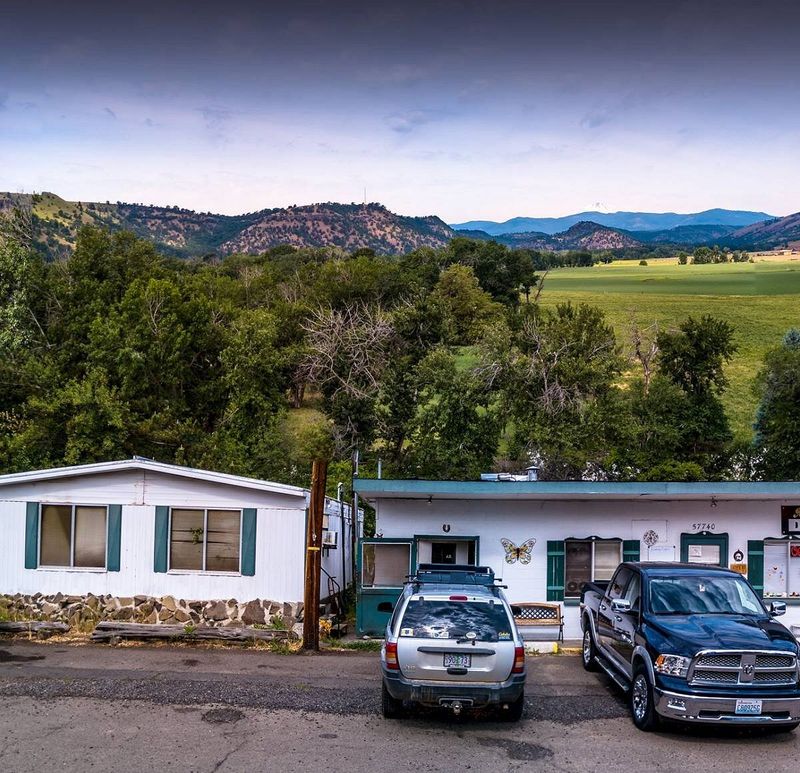 Molly B's Diner (Tygh Valley)
