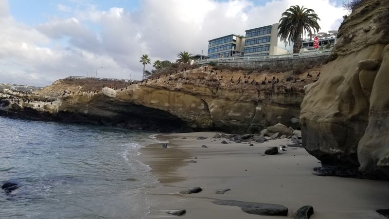 Garrapata State Park Coastal Bluff Trail
