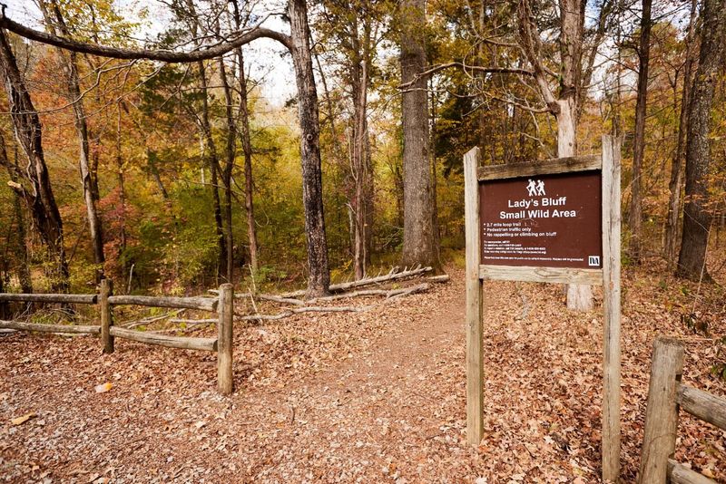 Lady’s Bluff Small Wild Area (Perry County)