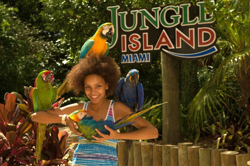 Jungle Island – Miami
