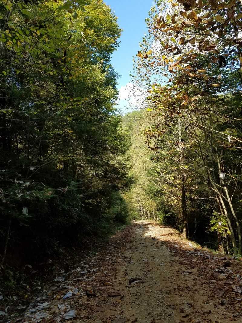 Old Frankfort Pike Scenic Byway