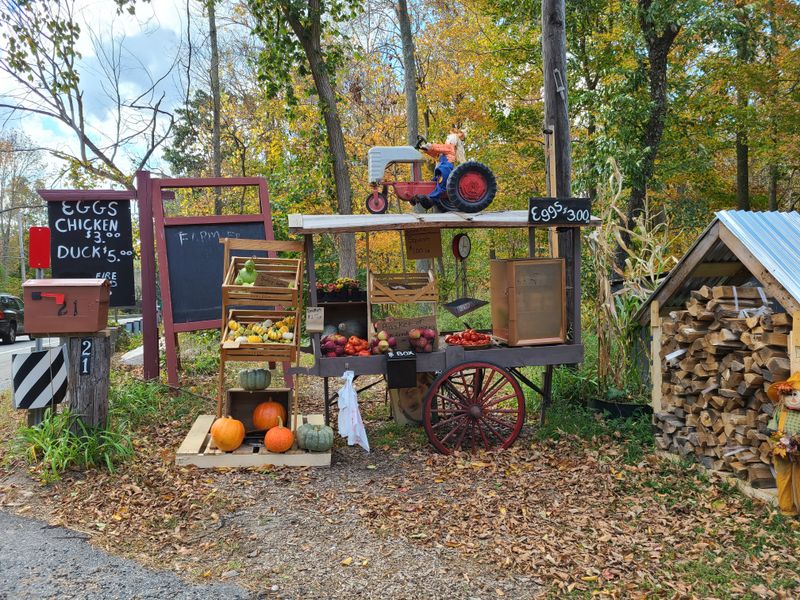 Foster Old Home Days