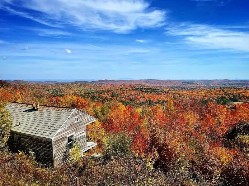 Scenic and Wildlife Features