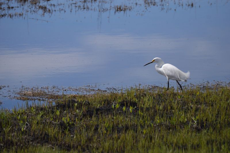 Seasonal Wildlife Watching
