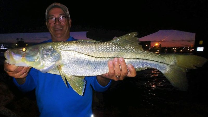 Night Fishing for Snapper, Grouper, and Tarpon