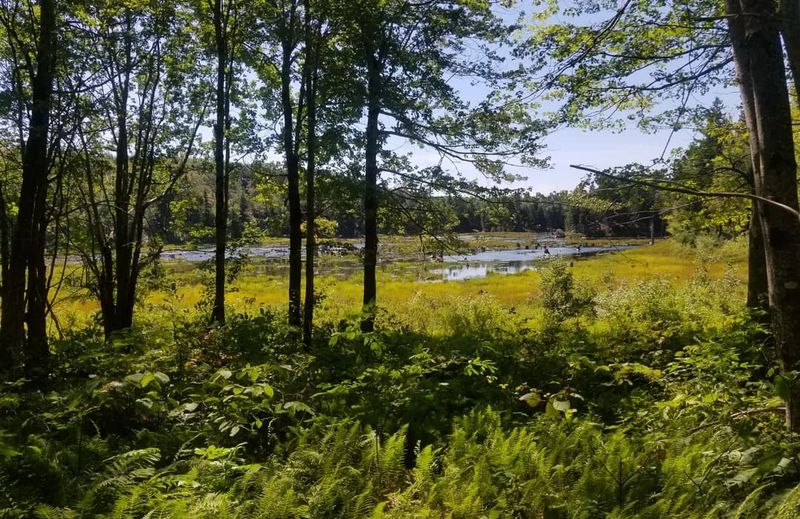 Pillsbury State Park