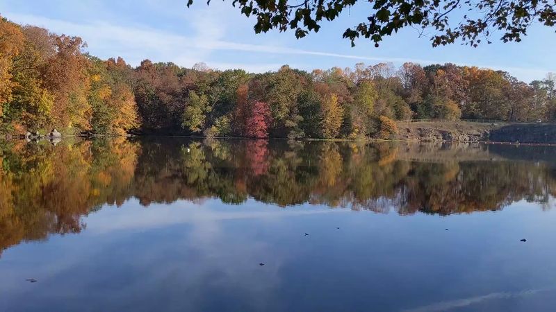 The Gifford Pinchot Forest With Frosted Pines in Every Direction