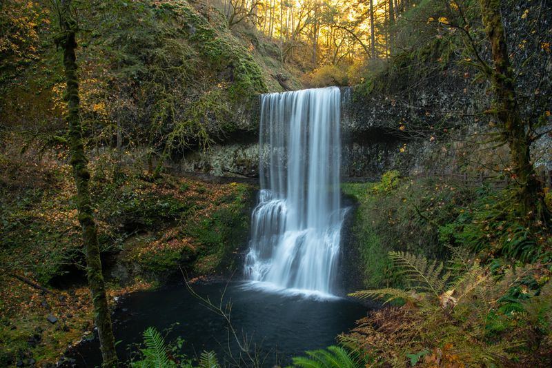 Silver Falls State Park - Trail of Ten Falls After Dusk