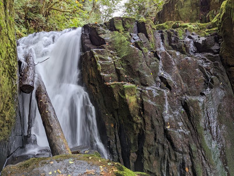 Sweet Creek Falls