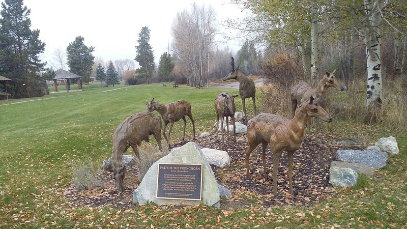 Green River Rendezvous