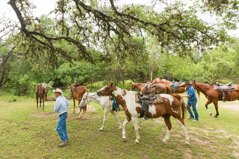 Ranches That Welcome Travelers Into Their Daily Routines