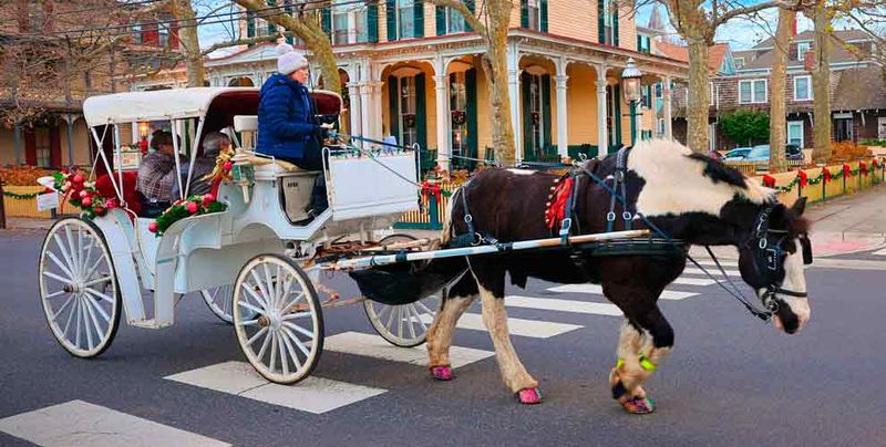 Cape May Carriage Rides Add to the Scene