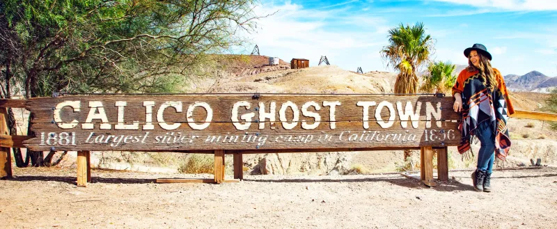 Photogenic Desert Landscape