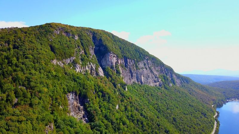 Arctic-Alpine Flora Doubles the Wild Landscape Display