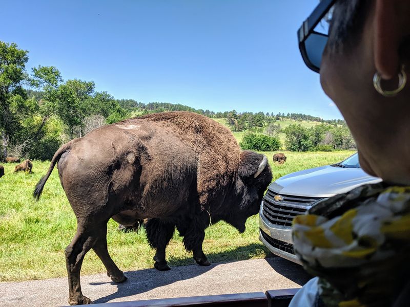 Park Resources Get Diverted From Conservation