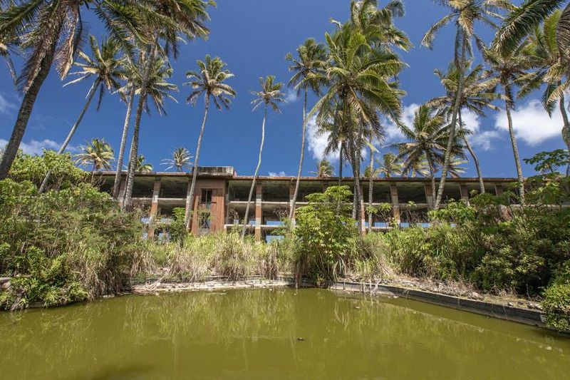 The Iconic Palm Grove