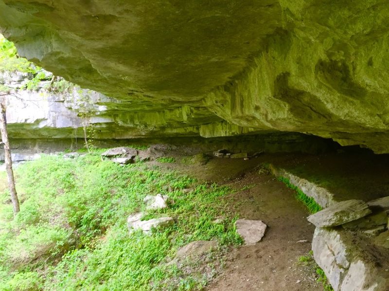 Floors Now Covered in Green