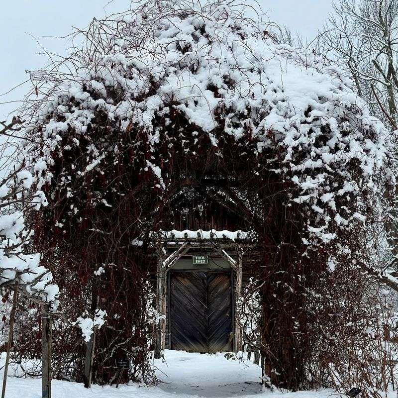 Berkshire Botanical Garden in the Cold Season