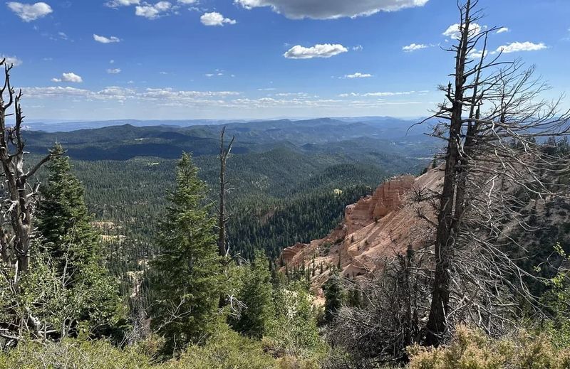 Riding the Virgin River Rim Above the Heat