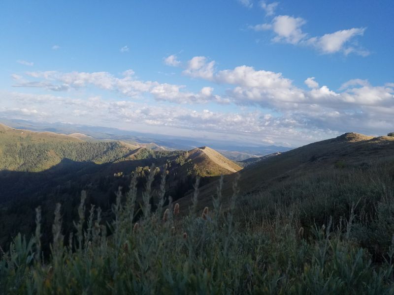 The Isolation That Makes the Community Feel Calmer Than Most