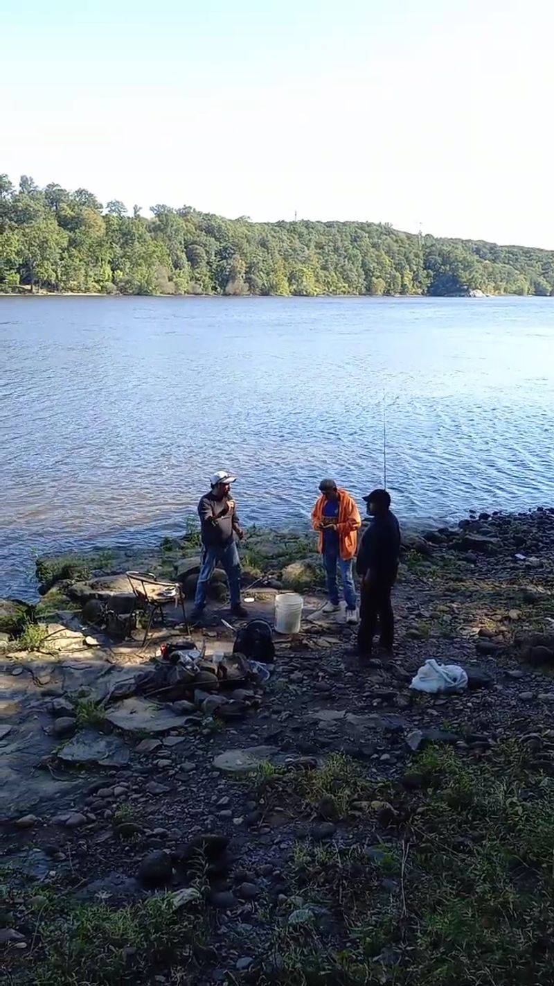 Nearby Forests Bringing Even More Color Into View