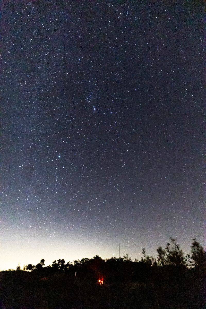 Ranger-Led Night Hikes and Owl Prowls