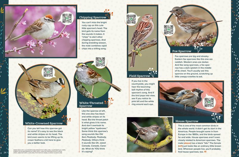 Banning Paint on Sparrows