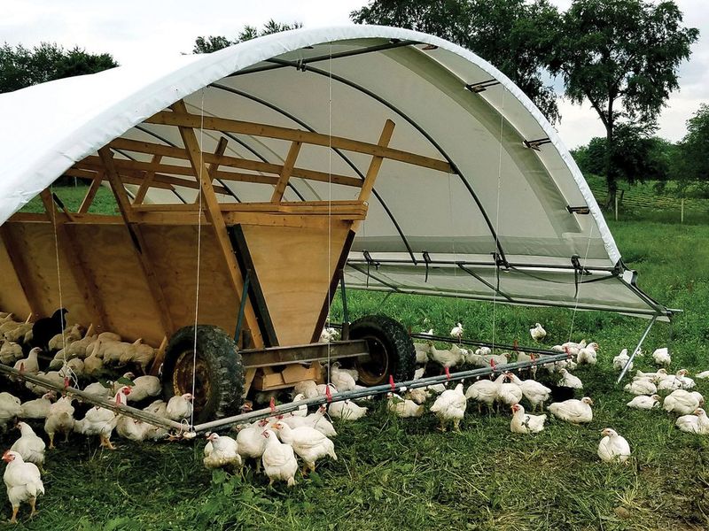 The Transparency of the Supply Chain