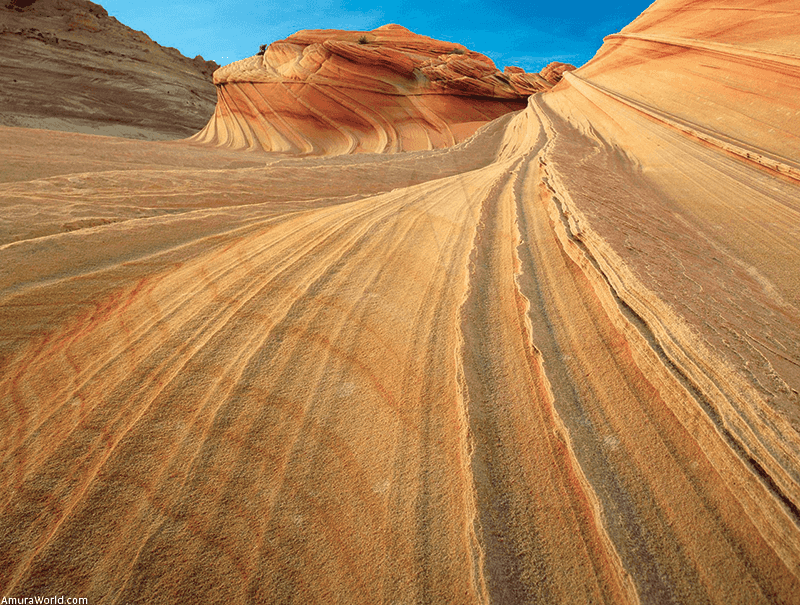 Desert Winds and Whispers