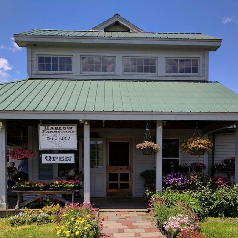 Café Loco, Westminster