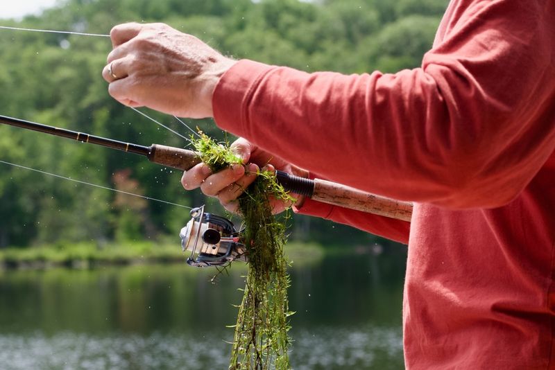 No National License Exists