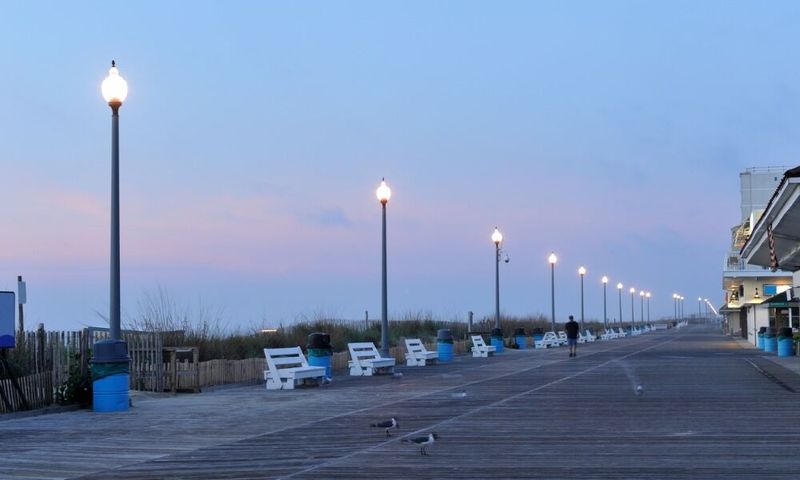 Best Time to Visit for the Effect