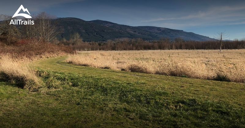 Recreation Fields and Orchard Remnants