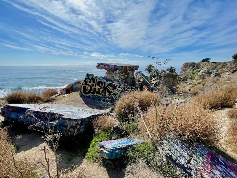 Wildlife Thrives Among the Wreckage