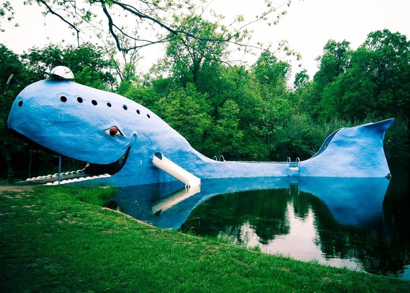 Whaling is Illegal in Oklahoma