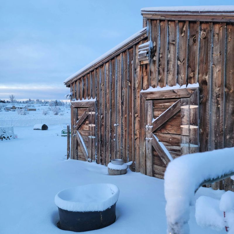 Snow-Covered Farmland Views