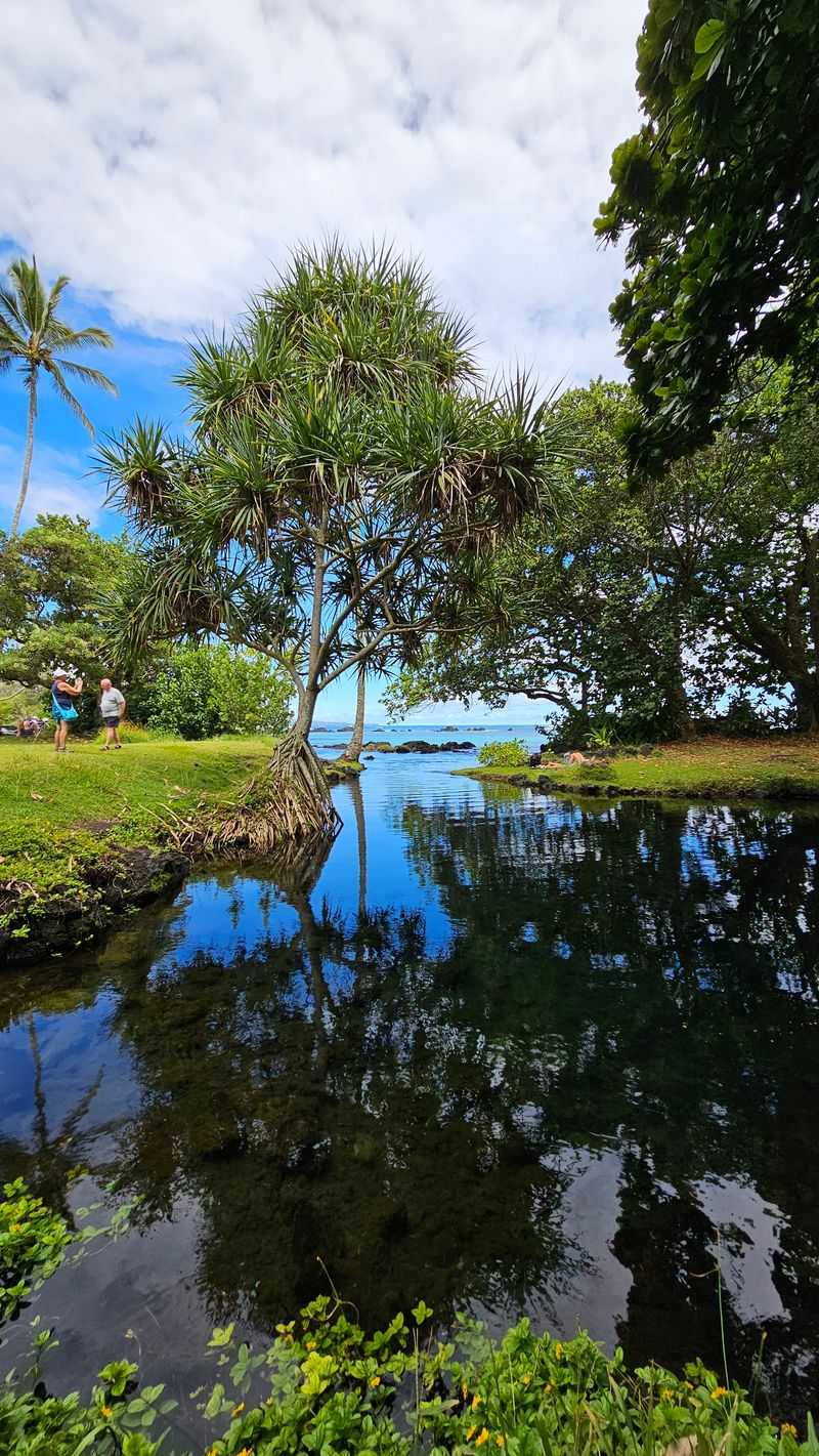 Carlsmith Beach Park