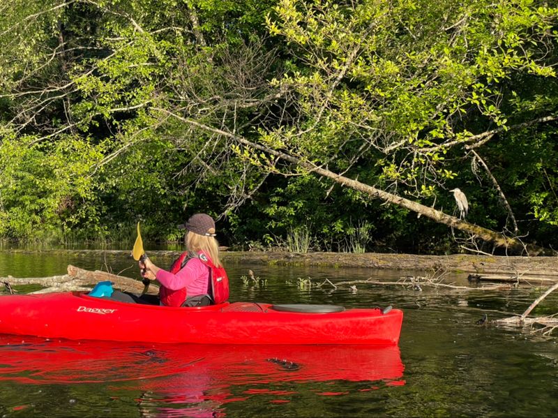 Kayaking and paddle spots with wind awareness