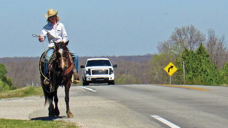 Drivers Must Stop if a Horse Gets Spooked