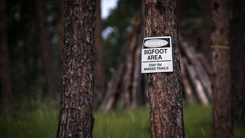 Tracking the Legendary Bigfoot