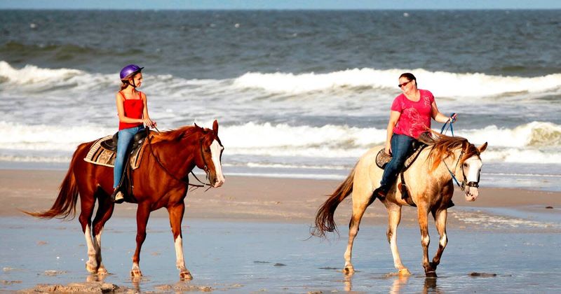 Moonlit Horseback Rides on the Coast
