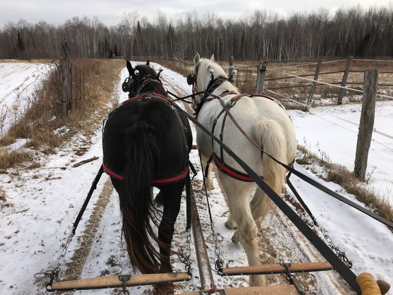 Augusta’s Rolling Hills Adding Depth to Winter Sleigh Experiences